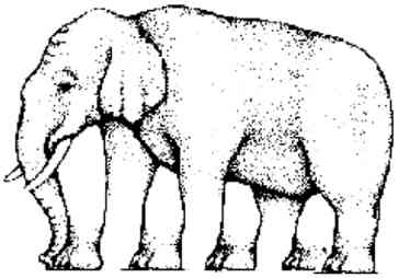 El Trompita Imposible