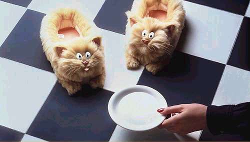 Q444.jpg (15808 bytes)